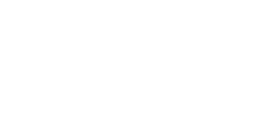 North American Auto Parts